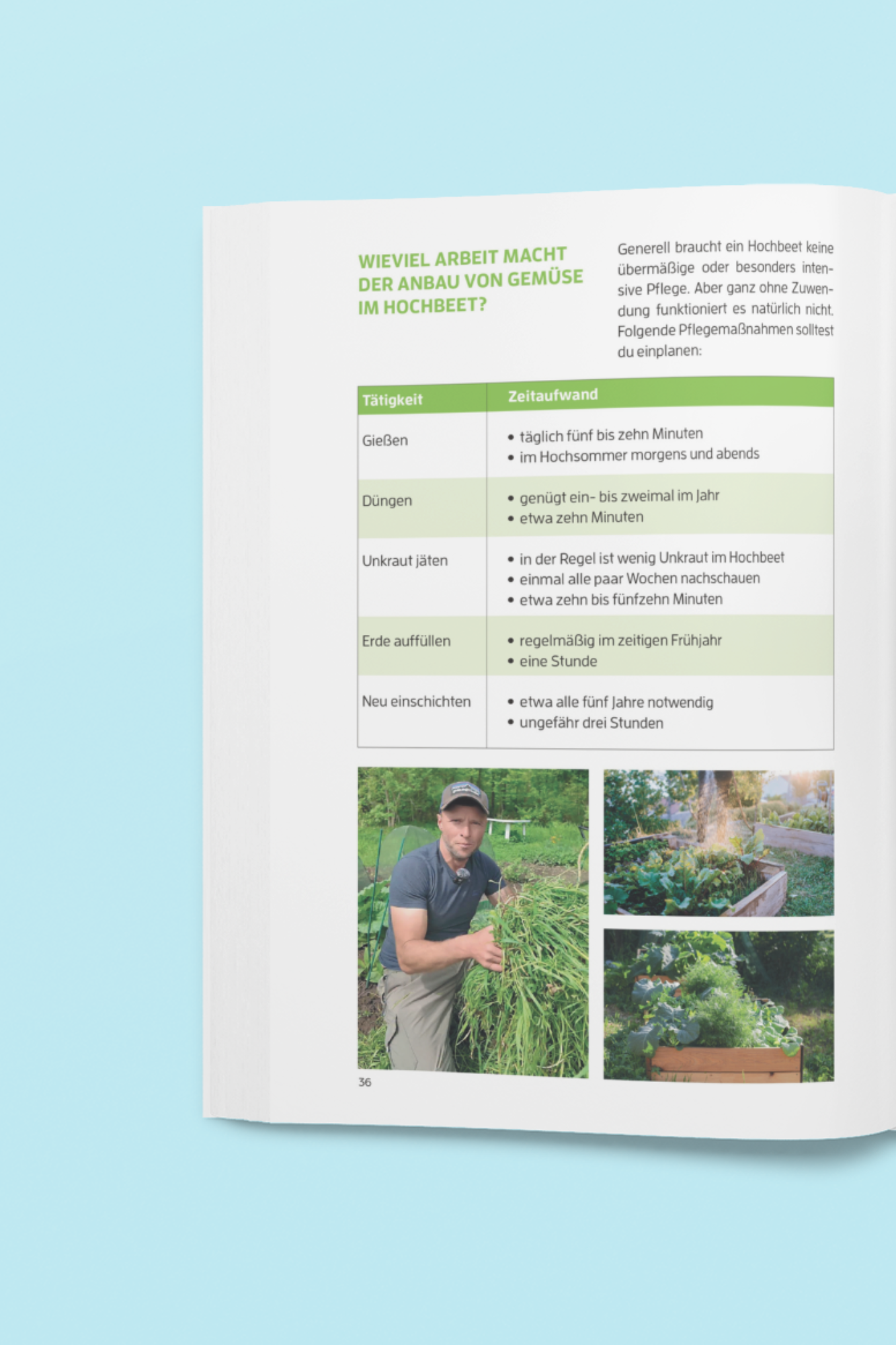 Ein Hochbeet, Vier Jahreszeiten – das Geheimnis für erfolgreiche Ernte