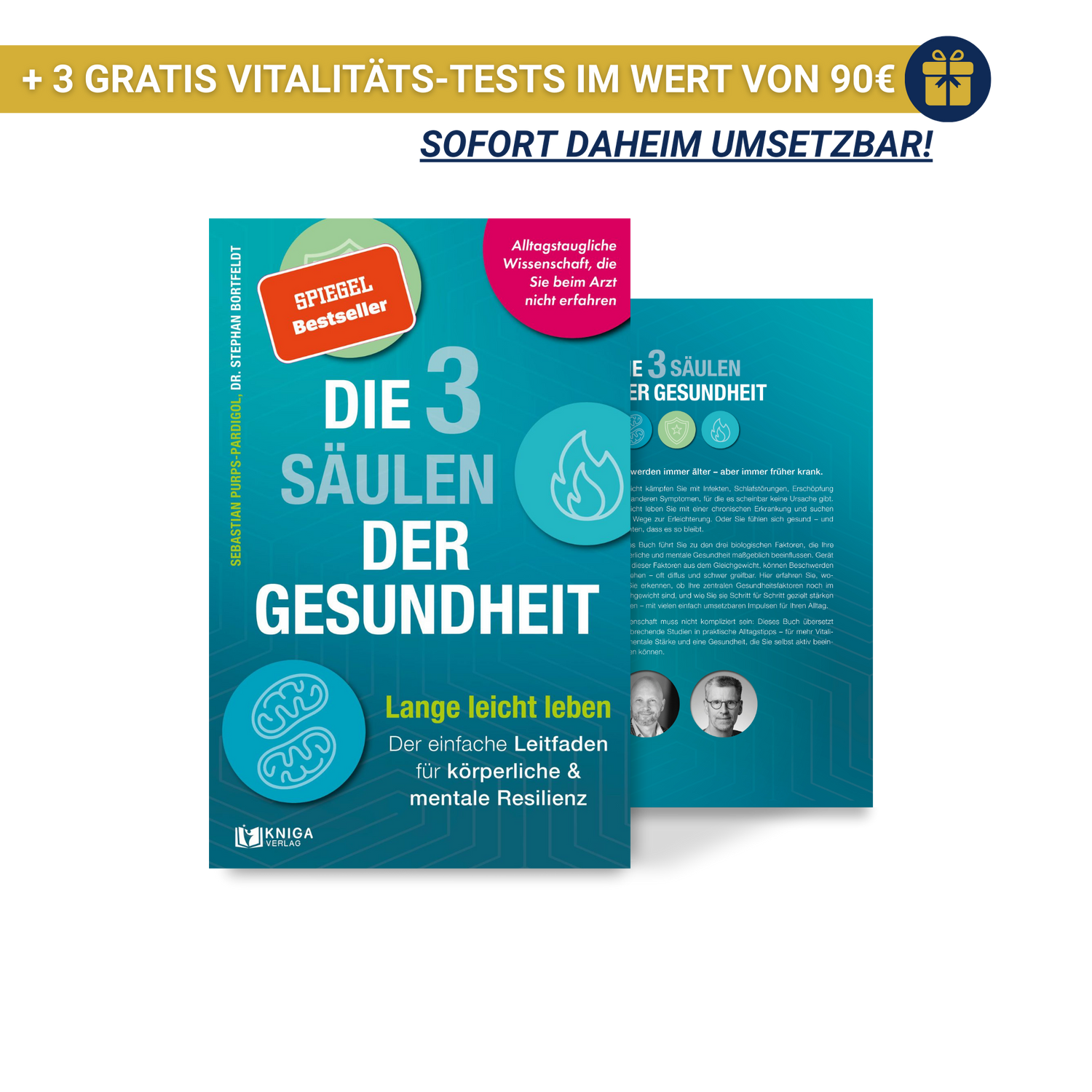 Die 3 Säulen der Gesundheit