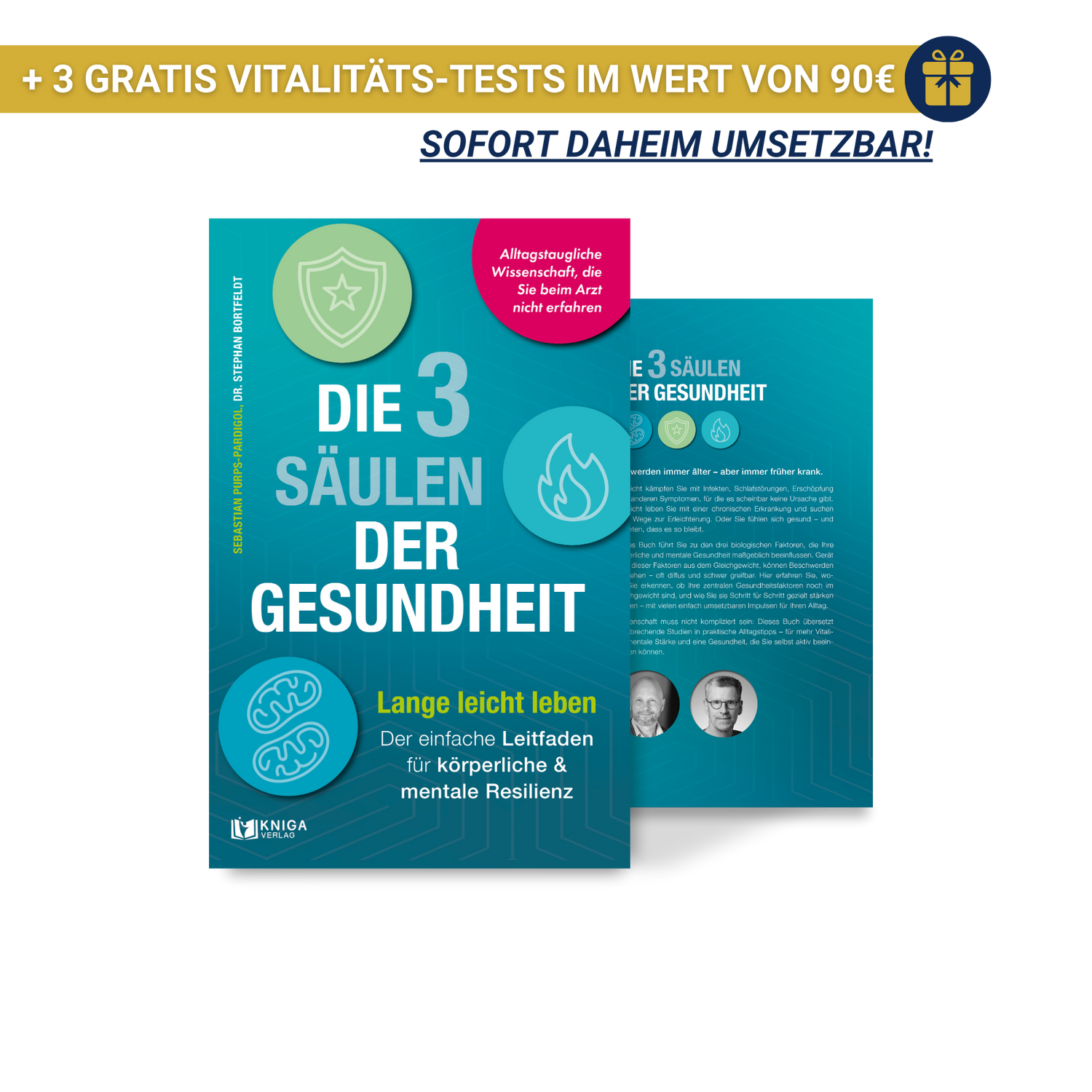 Die 3 Säulen der Gesundheit